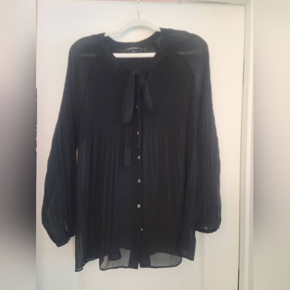 EUC Lane Bryant Pleated Black Sheer Blouse